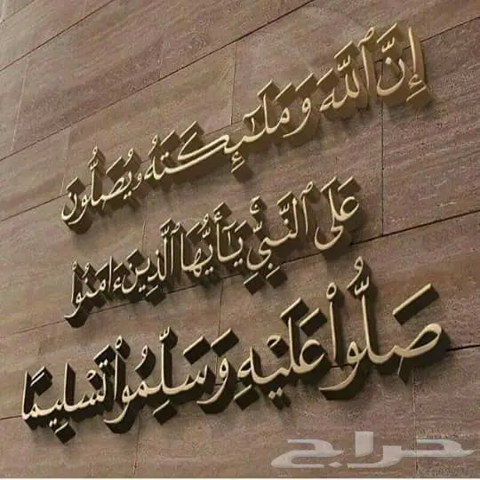 اجهزة كهربائية رائد الاستبدال  (image 31)