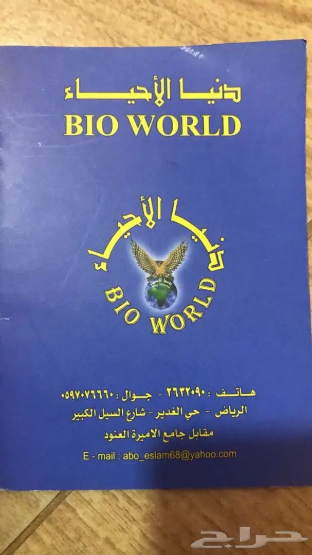 قطوة شيرازية (image 4)