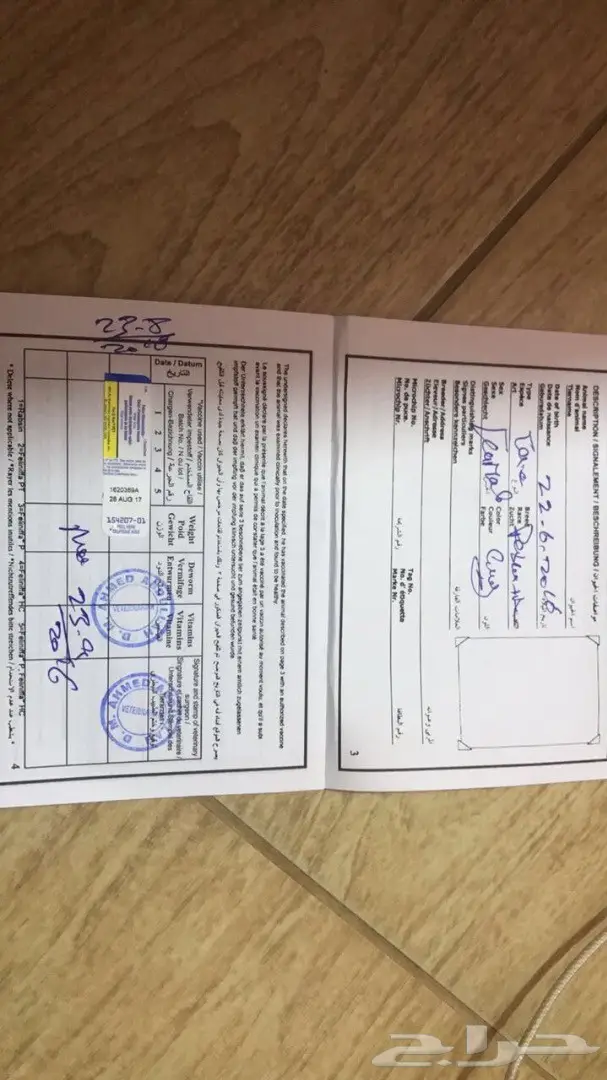 قطوة شيرازية (image 5)