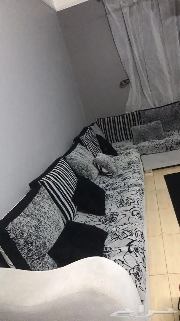 كنب مودرن للبيع مع سجادة - فرصة ذهبية! (image 2)