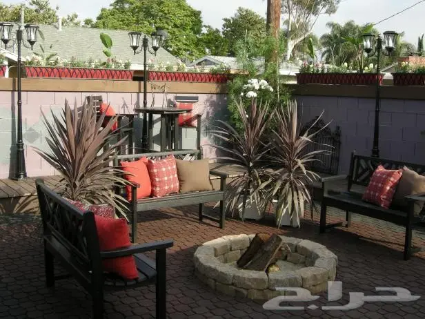 حدائق الحجاز: تحويل أسطحكم إلى جنات من الخضرة! (image 12)