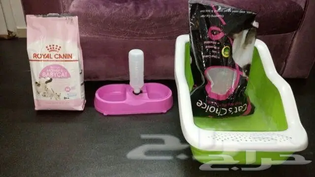 مستلزمات قطه كاملة استعمال اسبوع واحد فقط