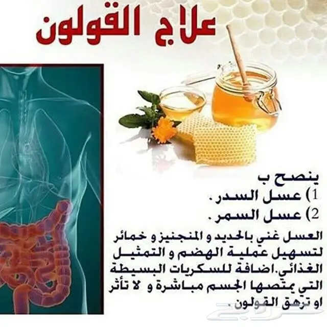 عسل سدر جبلي ( ذمه وأمانه ) الكيلو 220 (image 4)