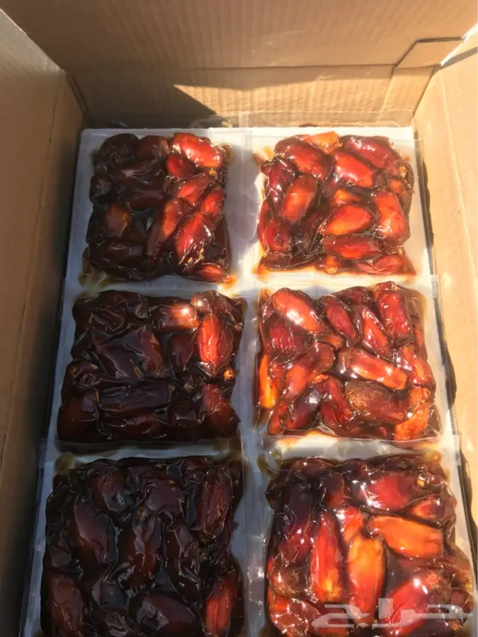 صفري بيشه ملكي (image 2)