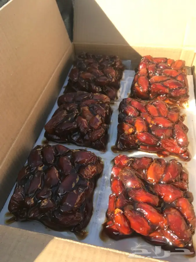 صفري بيشه ملكي (image 8)