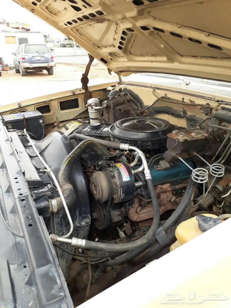 جمس ستيك بدي 82 (image 3)