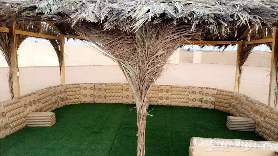 مخيم اصايل في الثمامه (image 4)
