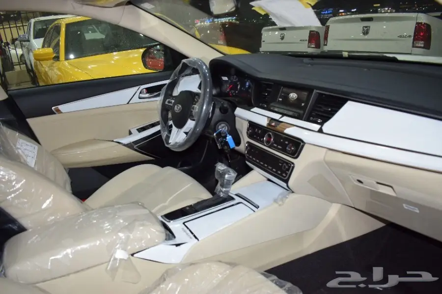 كيا كادينزا 3.3 استاندر الجبر 2018  (image 30)