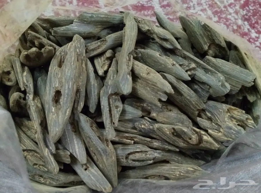 عود كلمنتان طبيعي محسن درجة أولى بسعر مغري  (image 1)