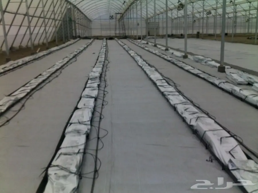 بيوت محمية (image 1)