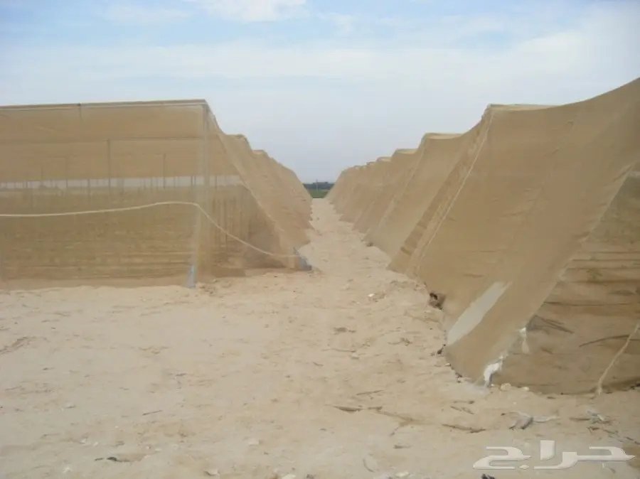 بيوت محمية (image 4)