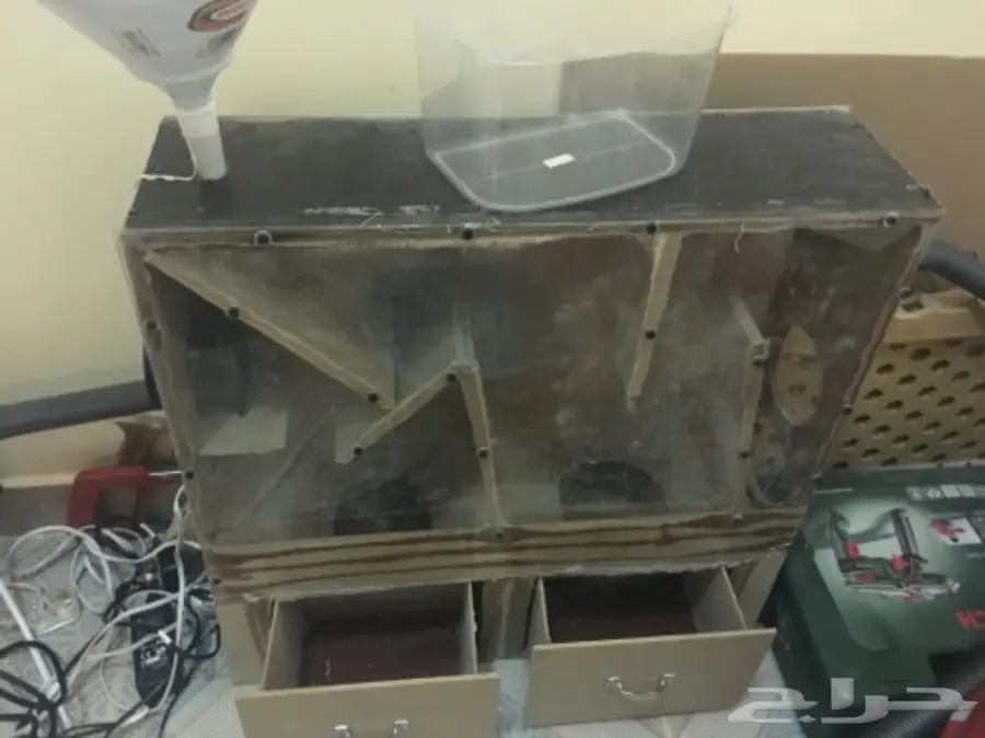 البيع كامل اقفاص وطيور (image 9)