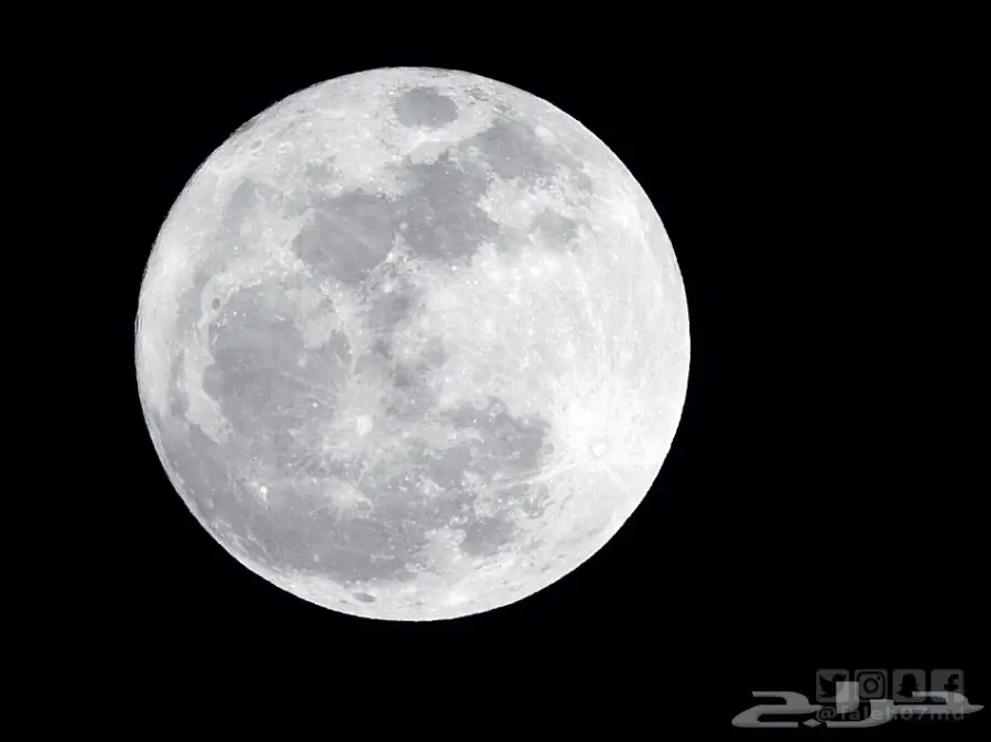 كاميرا نيكون Nikon Coolpix P900 بزوم عالي جدا (image 4)