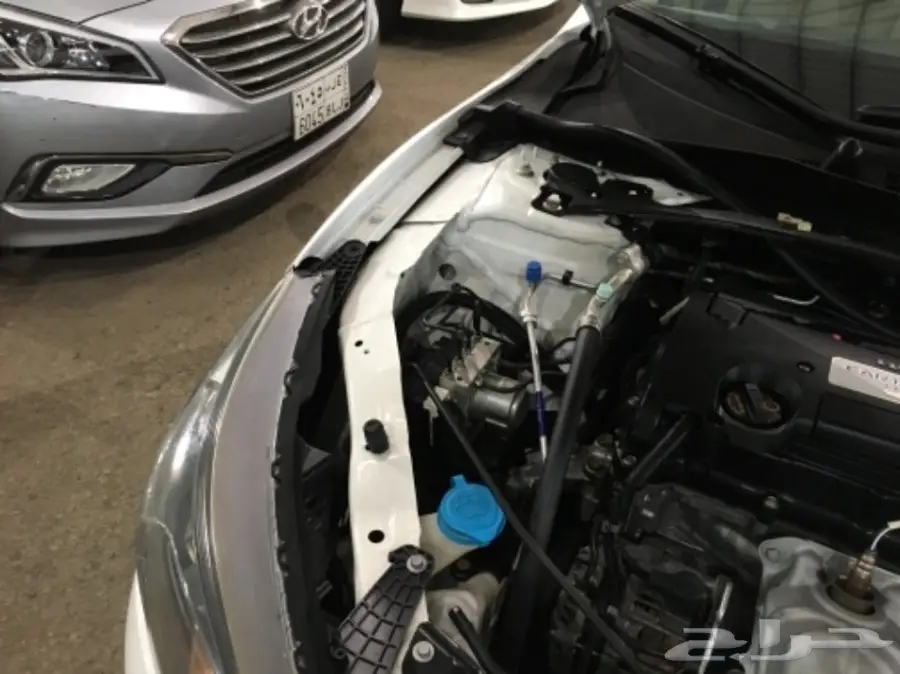 للبيع هوندا أكورد 2013 فل (image 23)