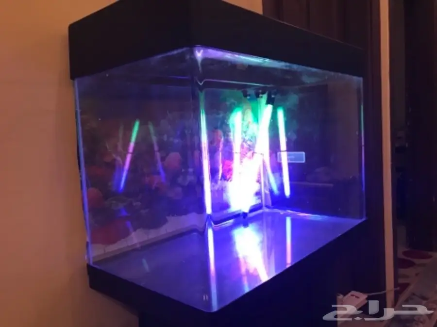 حوض سمك للبيع (image 2)
