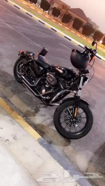 للبيع دباب هارلي  سبوستر 883  -موديل 2014 (image 3)