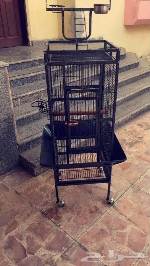 شبك كبير ببغاء للبيع (image 1)