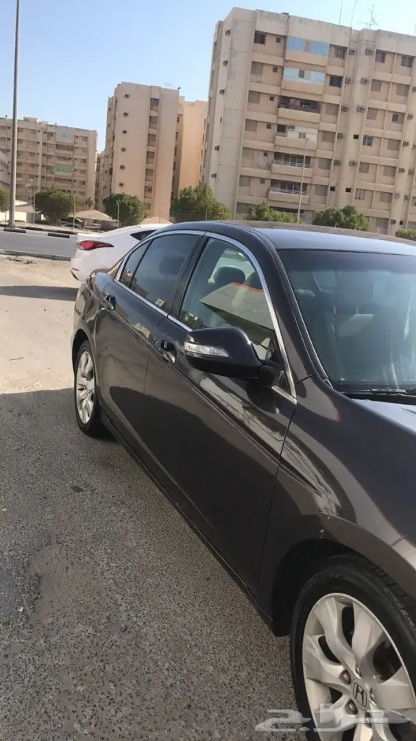 هوندا أكورد 2011 بالصور (image 3)