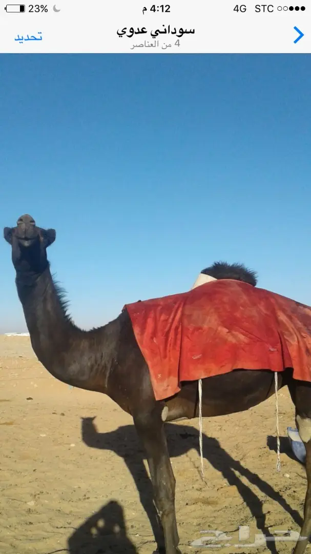 فرصة ذهبية! سيارة/مركبة ممتازة للبيع أو البدل