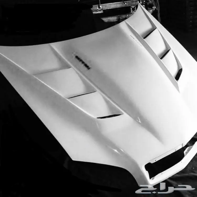 مطلو ب كبوت القفاري للكابرس 