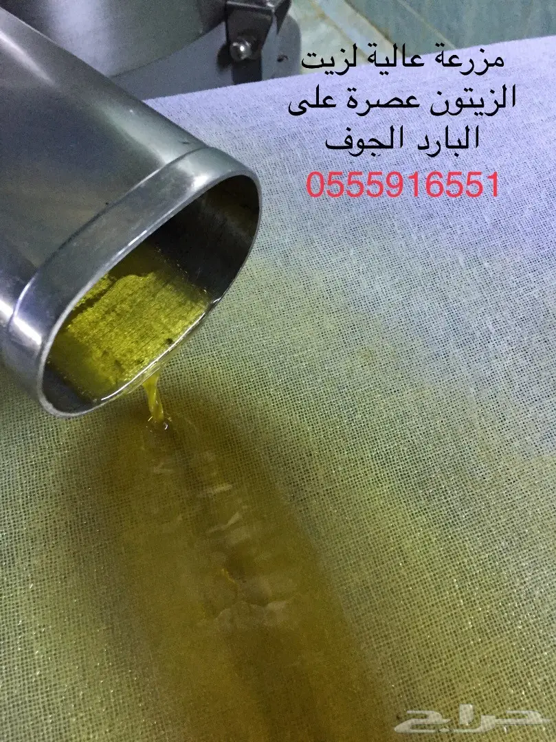 زيت زيتون عضوي انتاج اليوم 15-4-1439