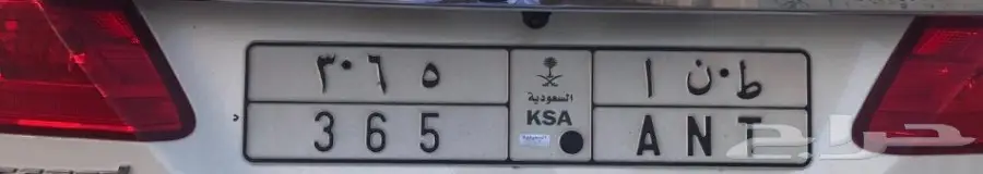 لوحة للبيع - فرصة استثمارية مميزة!