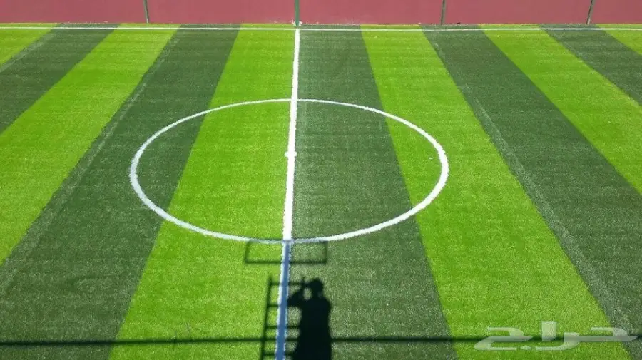 عشب صناعي  (image 22)