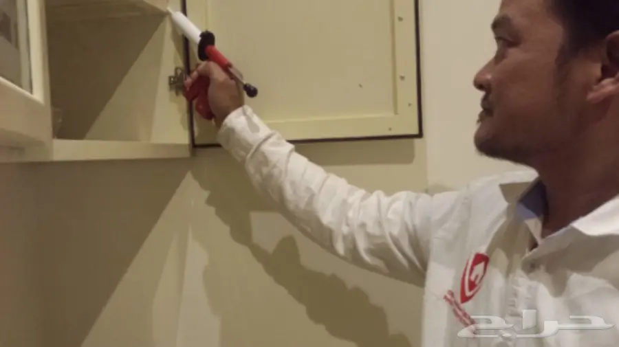 حلول فورية لمشكلة الحشرات (image 19)