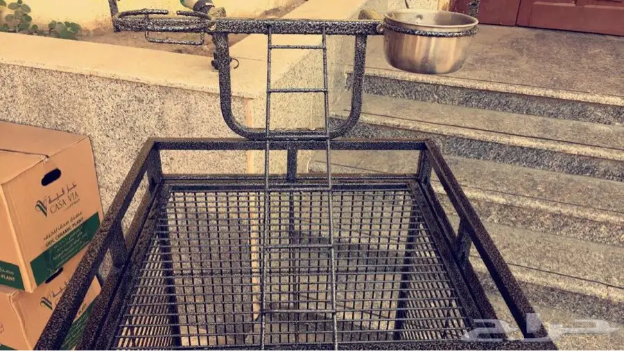 شبك كبير ببغاء للبيع (image 4)