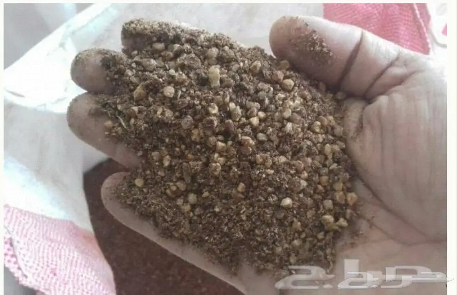 اعلاف مواشي مجروش (فصم) - نعناع طبيعي! (image 1)