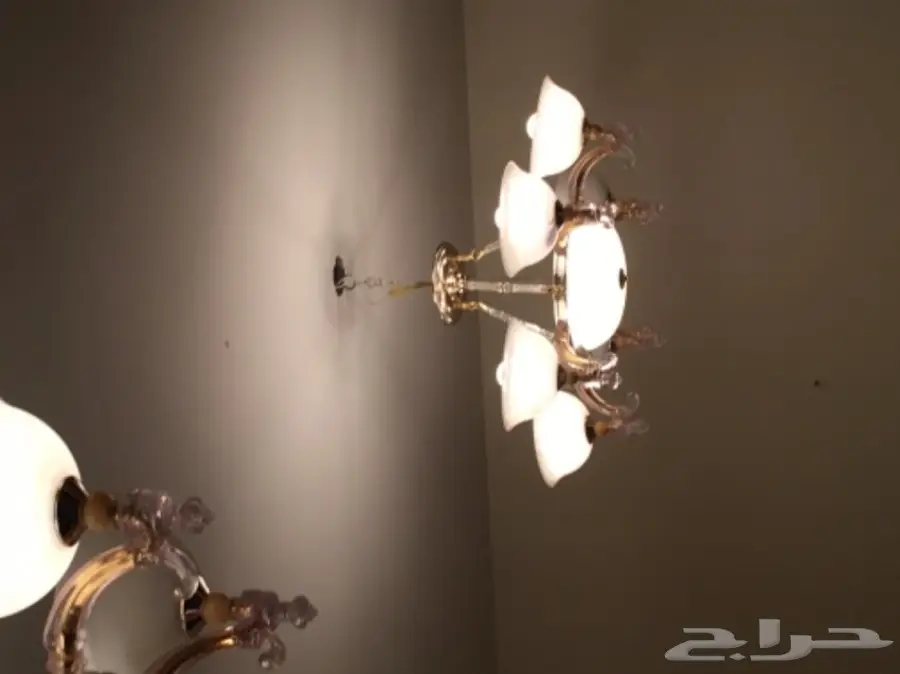 مكنبة و سراير و تليفزيون (image 1)