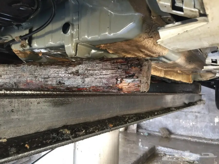   كامري لمتد  (image 15)