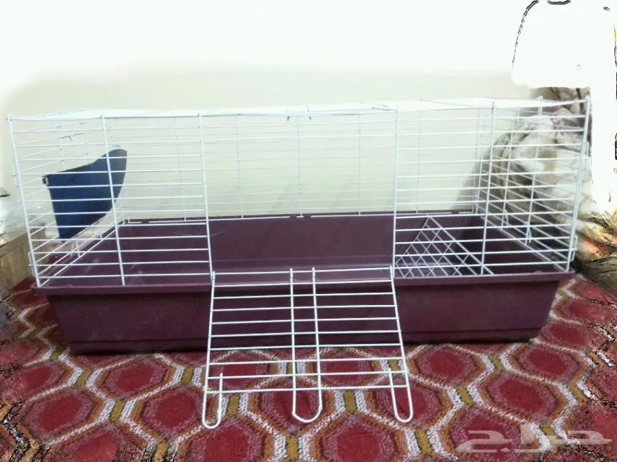 أغراض قطط للبيع على السوم