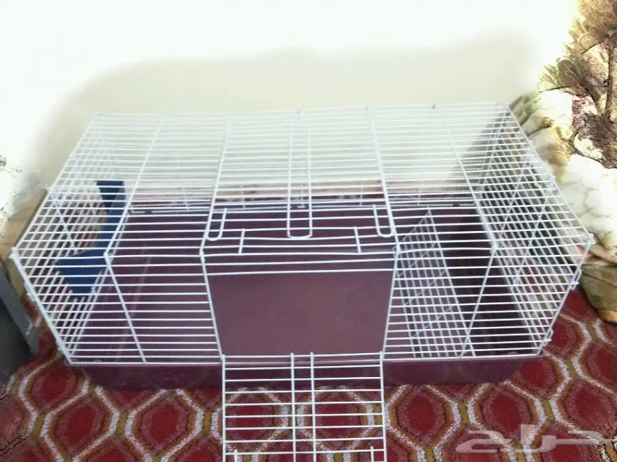 أغراض قطط للبيع على السوم (image 1)