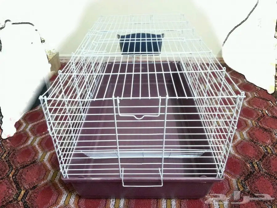 أغراض قطط للبيع على السوم (image 2)