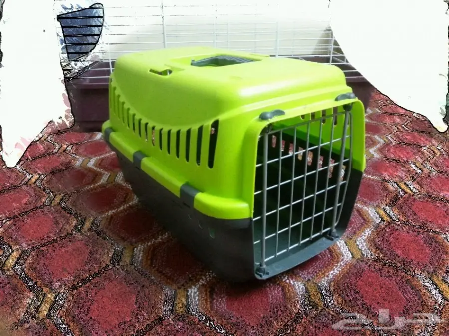 أغراض قطط للبيع على السوم (image 3)