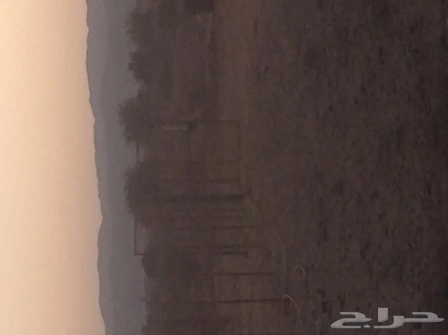 مراح كامل بمحتوياته للبيع (image 6)