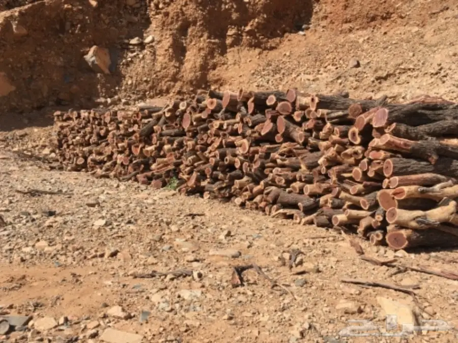حطب مُبروم يابس للبيع - فرصة لا تُفوّت! (image 1)