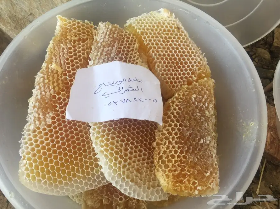 عسل سدر عسل سمر عسل طلح (image 18)