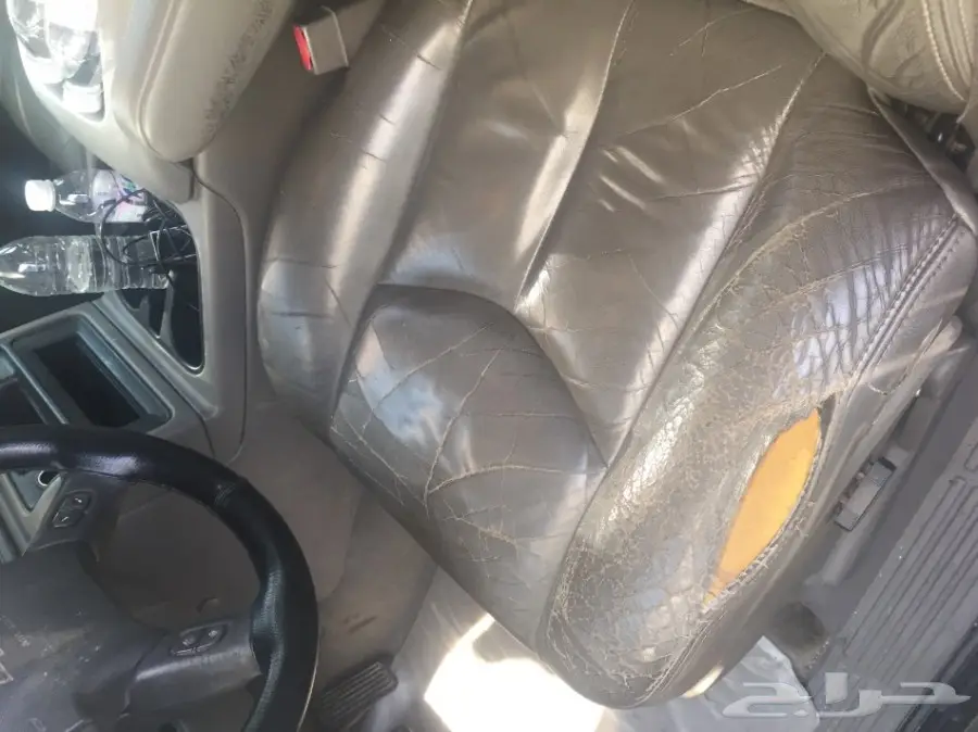 جمس بودي بلد (image 5)