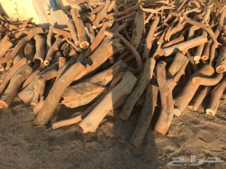 للبيع حطب حمله ونيت غمرتين