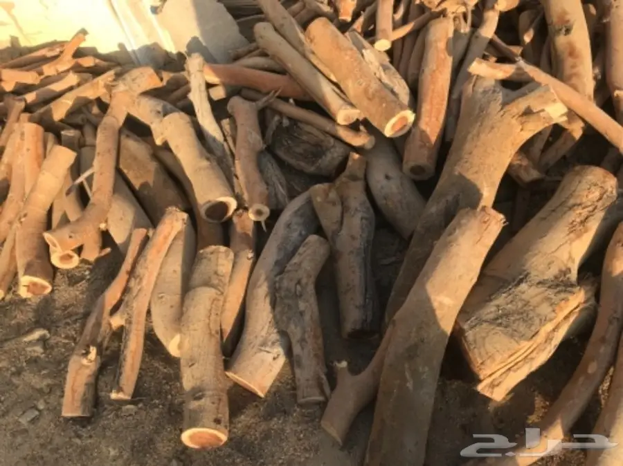 للبيع حطب حمله ونيت غمرتين (image 1)