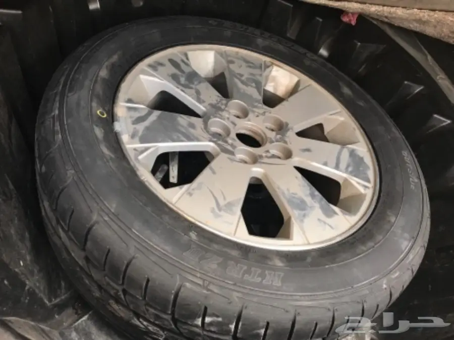 كابرس التي زد 2007 (image 8)