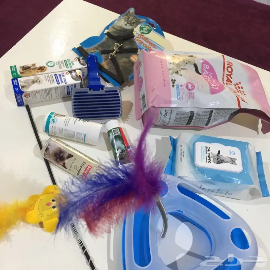 قطه للبيع للضرورة (image 2)