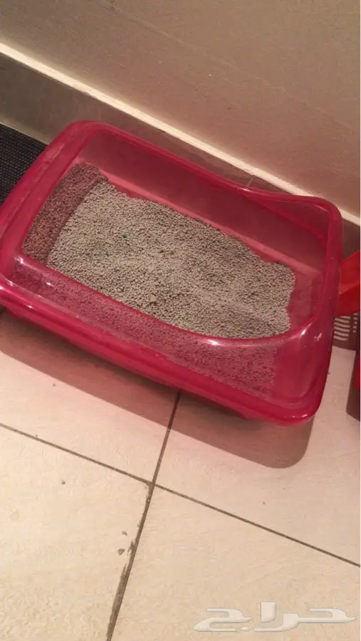 شيرازي (image 7)