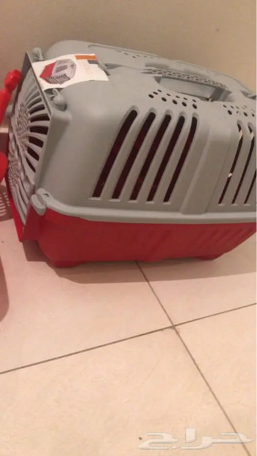 شيرازي (image 8)