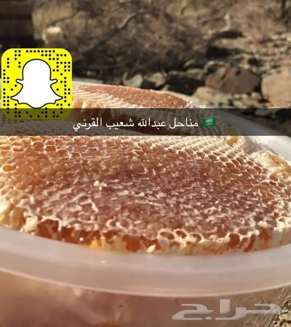 عسل طبيعي سعودي أصيل - من نحل خبير
