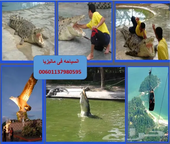 حصريا برنامج شهر عسل بماليزيا لمدة 11 يوم (image 6)