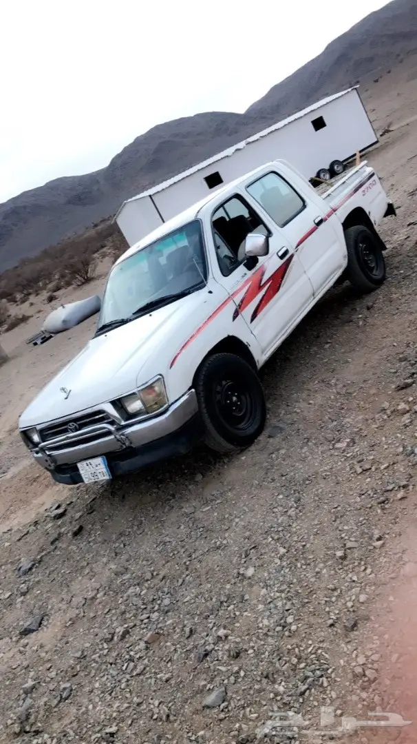 للبيع غنم  مراح. 