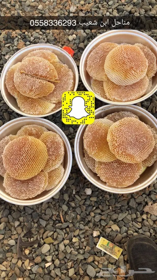 عسل طبيعي سعودي أصيل - من نحل خبير (image 19)